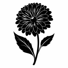 Calendula Black silhouette