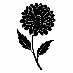 Calendula Black silhouette