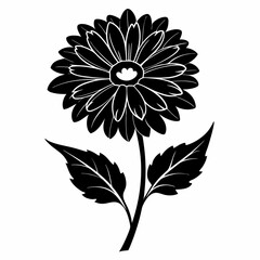Calendula Black silhouette