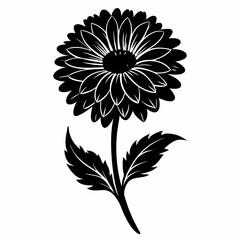 Calendula Black silhouette