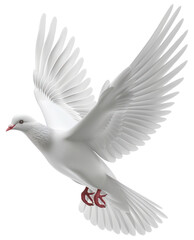 Obraz premium PNG A white pigeon animal bird dove.