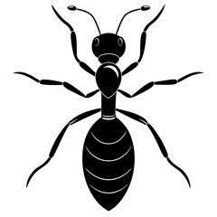 Ant Vector Art | Detailed Ant Illustration for Graphic Design