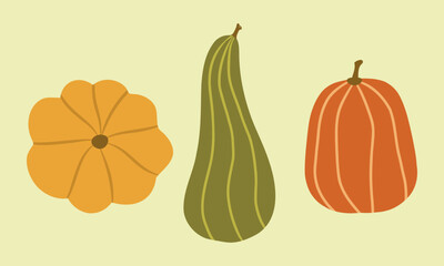 Set of pumpkins, vegetables clip art, gourds, squashes, vector illustration