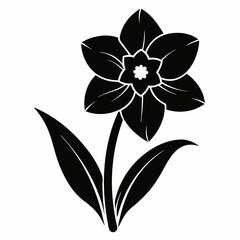 Daffodil Black silhouette