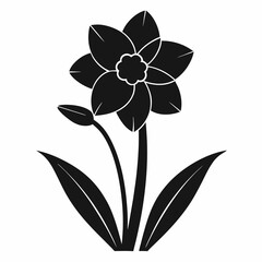 Daffodil Black silhouette