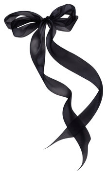 PNG Black coquette ribbon bow accessories accessory animal.