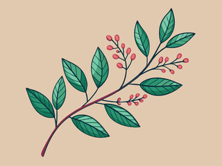 Decorative plant branch. Decorative hand drawn leaf branches, botanical floral element, herb decor, twig with leaves, doodle ornament silhouette. Vector set
