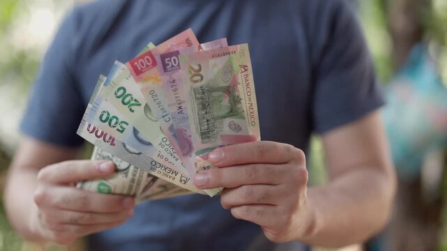 hands of a man holding mexican pesos and US dollar. Money exchange concept