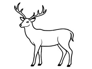 Graceful Deer Stag with Large Antlers Vector Illustration and Line Art Design, Majestic deer stag with large antlers vector illustration, perfect for nature-themed designs.