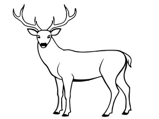Graceful Deer Stag with Large Antlers Vector Illustration and Line Art Design, Majestic deer stag with large antlers vector illustration, perfect for nature-themed designs.
