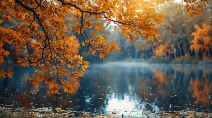 Golden autumn leaves hanging over a calm lake with reflections of the trees in the serene water