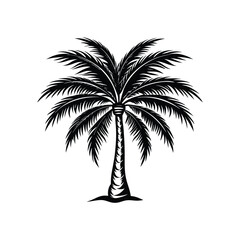 Palm tree vector icon isolated on white background