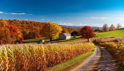 Obraz premium Autumn in the Countryside