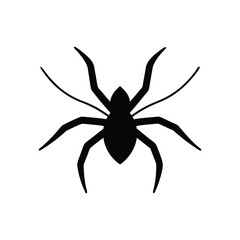Halloween festive  spider silhouette vector illustration isolated on white background
