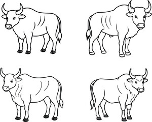 cow line art coloring page design template