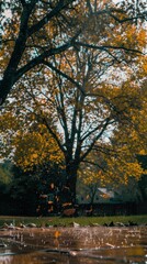 Raindrops create ripples on puddles while leaves fall from trees in a peaceful park during autumn