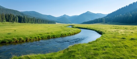  A stream runs through a lush, green field adjacent to a dense forest teeming with tall, green trees