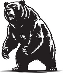 Angry Bear Silhouette vector illustration isolated on a white background
