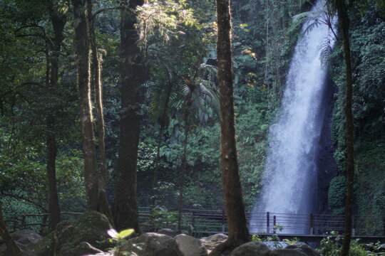 waterfall in the woods curug sawer