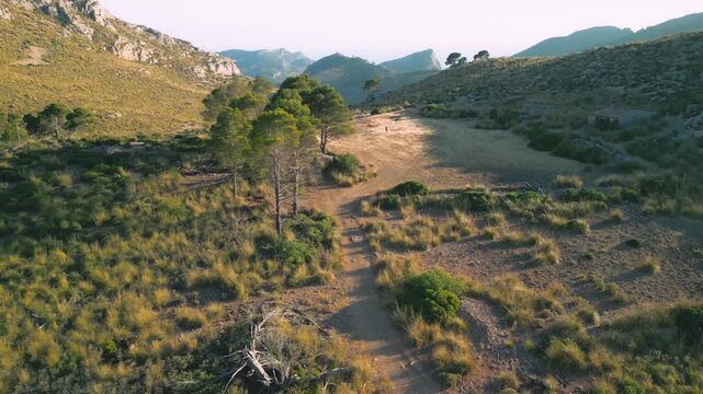 lanscape mallorca beautiful mountains in the coast