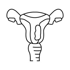endometrial cancer line icon vector. endometrial cancer sign. isolated contour symbol black illustration