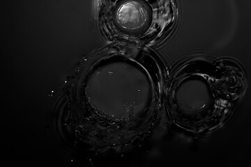 The black crown of water droplets splashing.