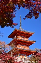 京都の秋　紅葉の清水寺