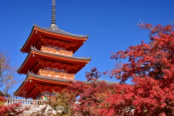 Wandcirkels  京都の秋　紅葉の清水寺  © sada
