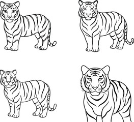 tiger line art coloring page design template