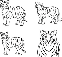 tiger line art coloring page design template