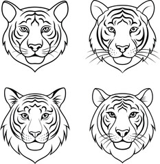 tiger line art coloring page design template