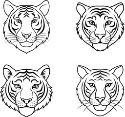 tiger line art coloring page design template