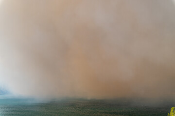 Obraz premium Smoke from a forest fire