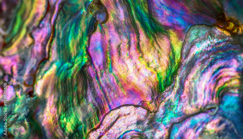 Wall mural high magnification macro of nature texture pearl shell. rainbow colors abstract background close-up.