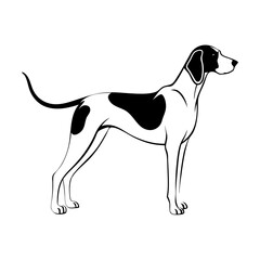 graceful foxhound dog stands proudly in side profile, line art drawing