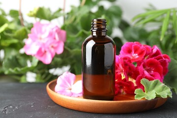 Bottles of geranium essential oil and beautiful flowers on black table, closeup