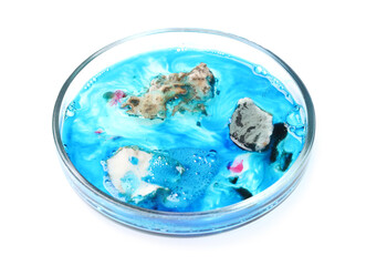 Petri dish with bacteria isolated on white