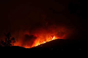 Forest fire at night