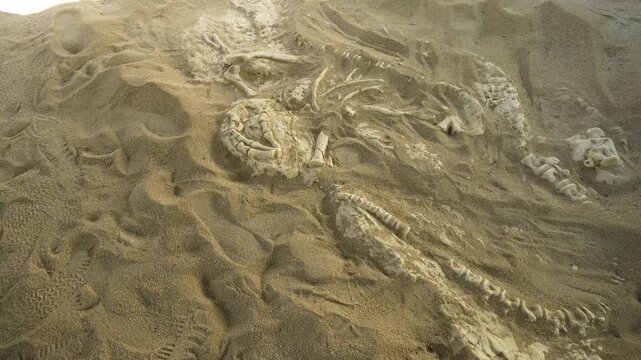 Digging for dinosaur fossils. Curcio district, Simbario town, Vibbo, Italy 08/12/2024. A fun and educational activity, an exciting experience for children, allowing them to learn more about ancient an