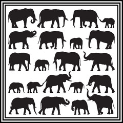 Elephant silhouette vector set ,wildlife animal illustration.