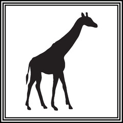 Giraffe silhouette vector , wildlife animal illustration.