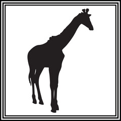 Giraffe silhouette vector , wildlife animal illustration.