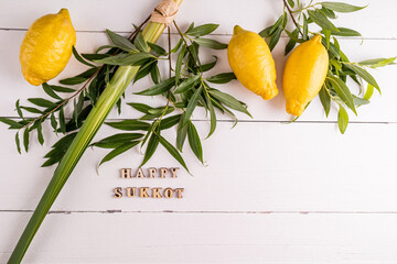 tied palm branches, willow branches, citrus fruits in a wicker basket on white wooden boards and a...