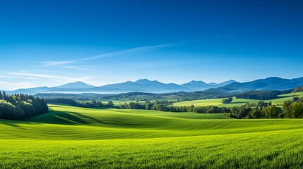 A vibrant landscape featuring a patchwork of green fields, dense forests, and distant mountains, under a clear blue sky