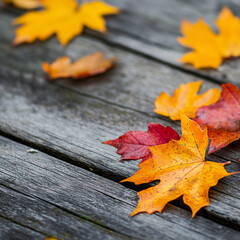 A close-up shot of colorful autumn leaves on a rustic wooden table, evoking a warm and cozy atmosphere, suitable for fall-themed decorations.