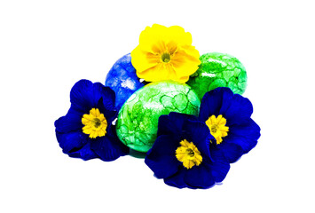 Ostereier und Primelblüten