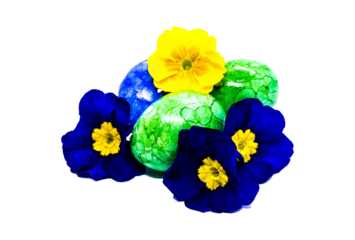 Ostereier und Primelblüten