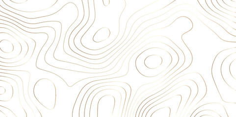 Fototapeta premium Abstract wave paper curved reliefs background .gradient multicolor wave curve lines banner background design .topographic contours map background .Vector geographic contour map.