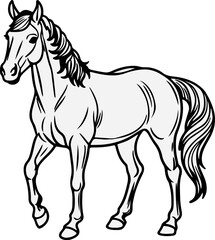 Horse vector illustration Silhouette 