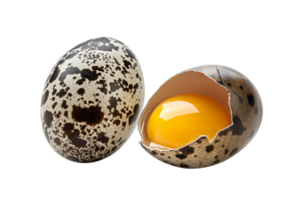 Fresh quail eggs isolated on white background with clipping path, whole and broken farm eggs collection